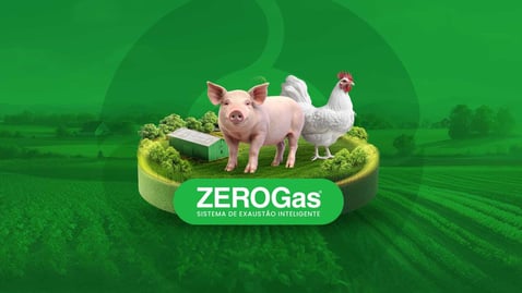 ZEROGas®: sistema de exaustão inteligente que melhora a qualidade da ambiência nas granjas